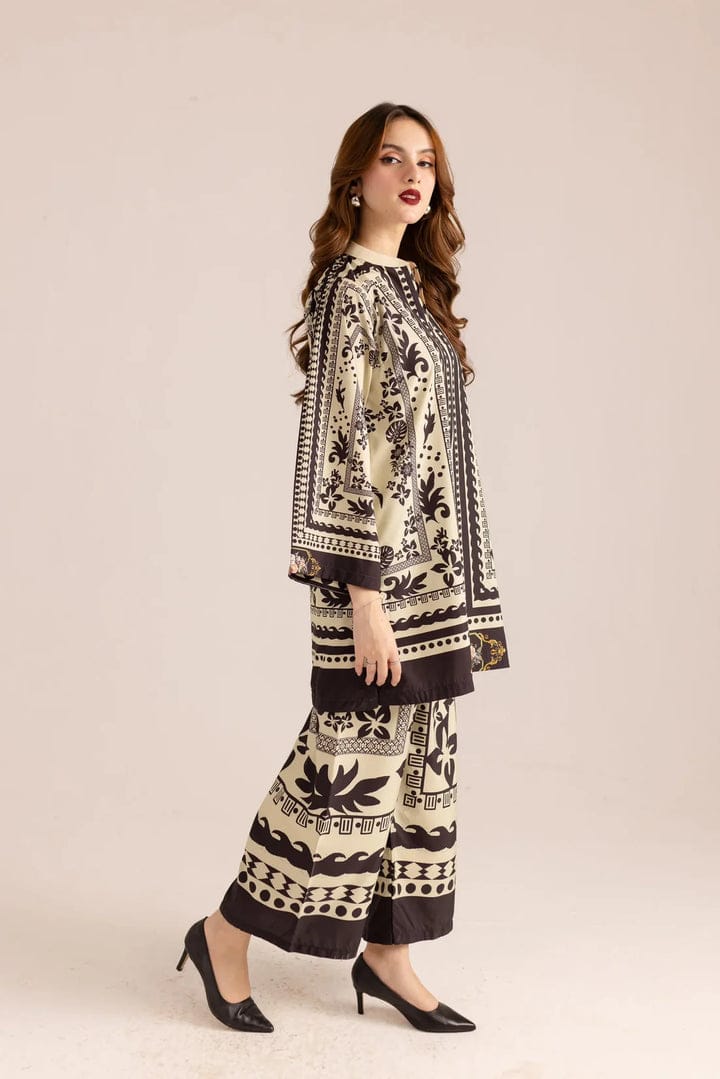 Noor Luxe Printed Co -Ord set 2pcs