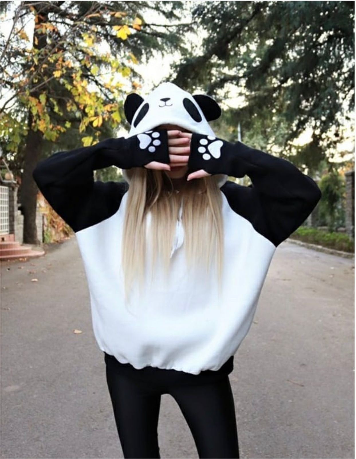 Meo Hoodie
