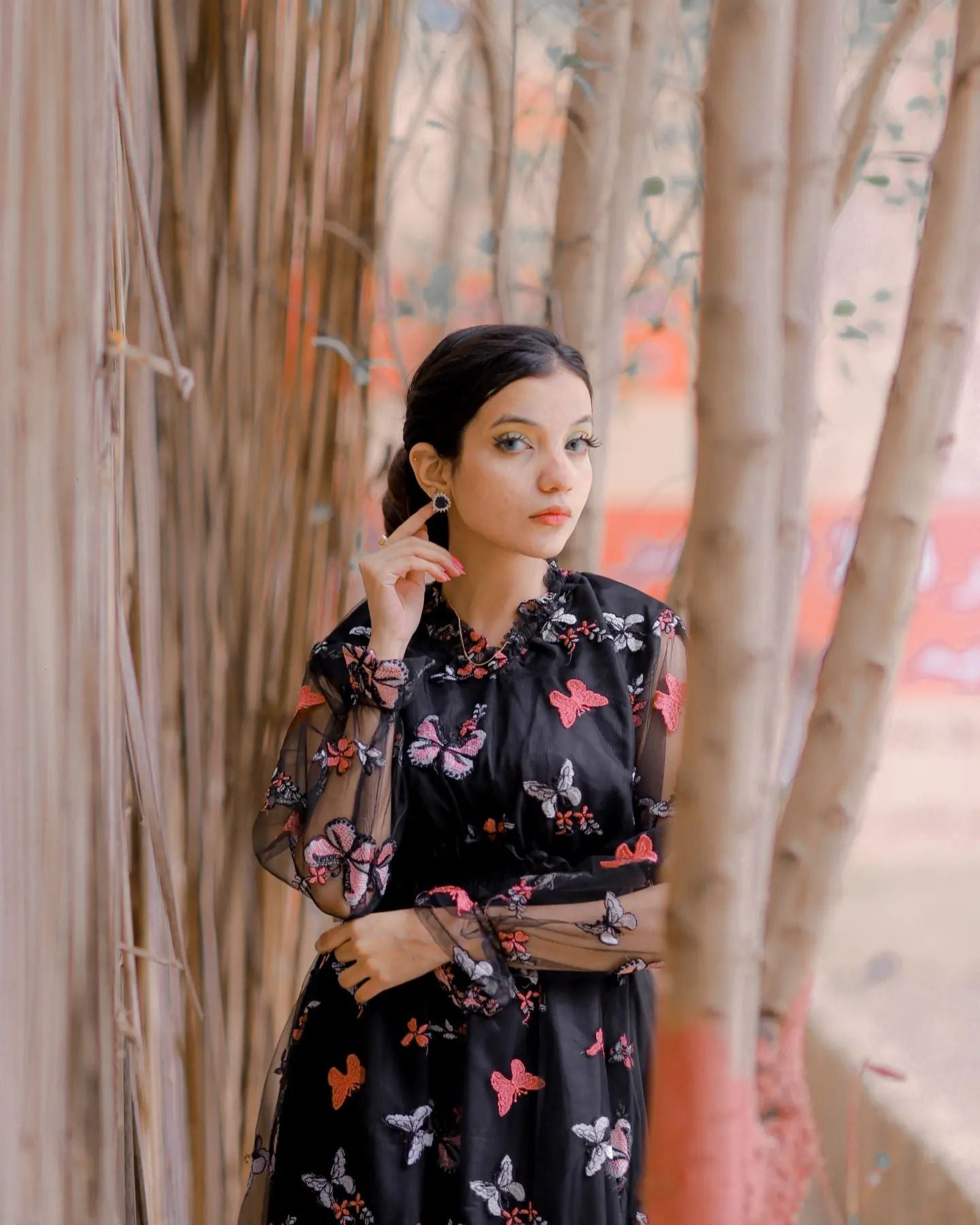 Butterfly Embroidery Dress By Pehnawayy