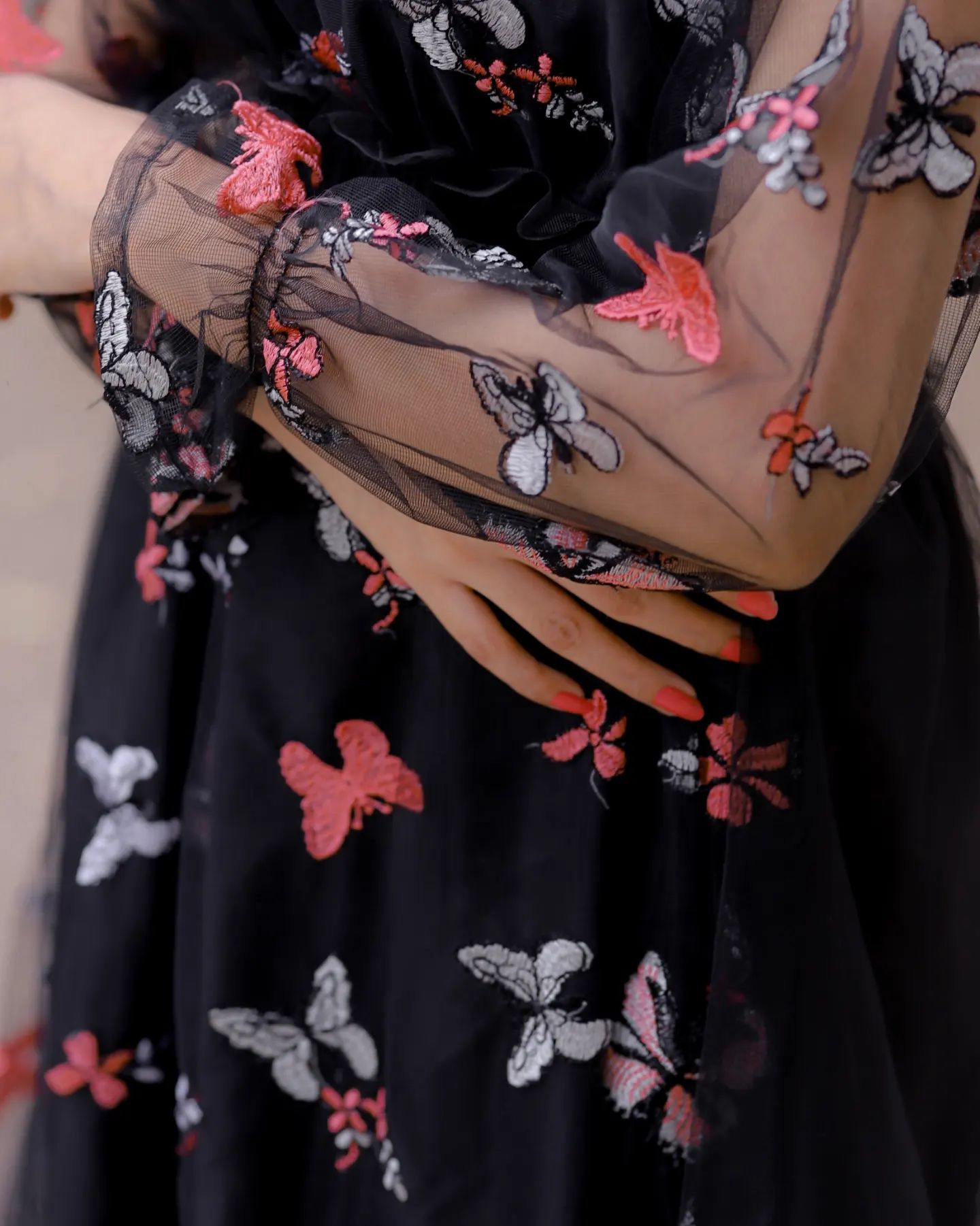 Butterfly Embroidery Dress By Pehnawayy