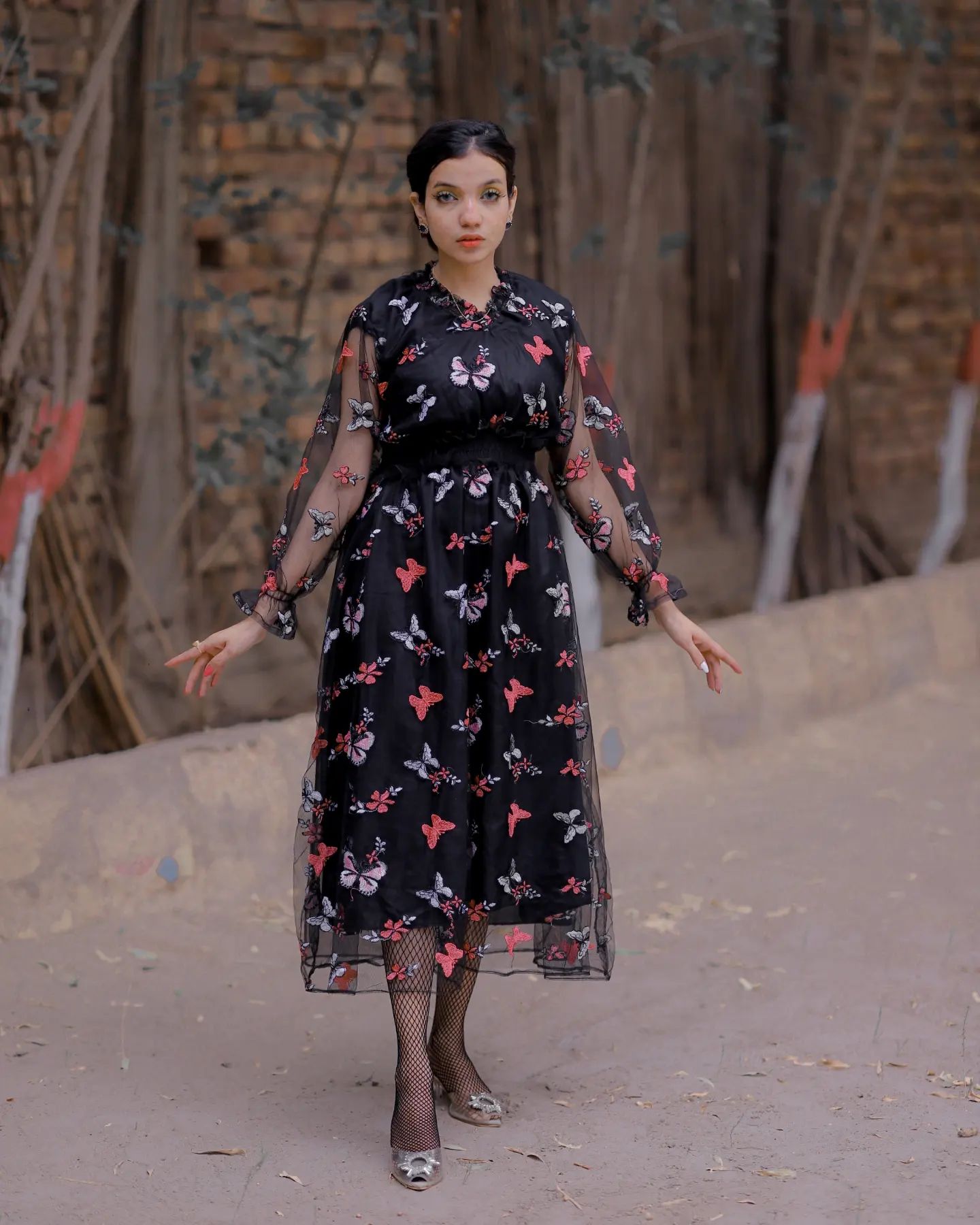 Butterfly Embroidery Dress By Pehnawayy